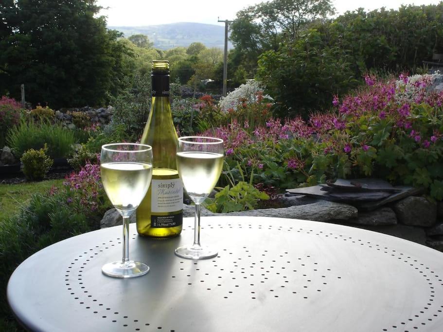 Traditional Stone Cottage With Sea Views In Snowdonia National Park Brynkir Экстерьер фото
